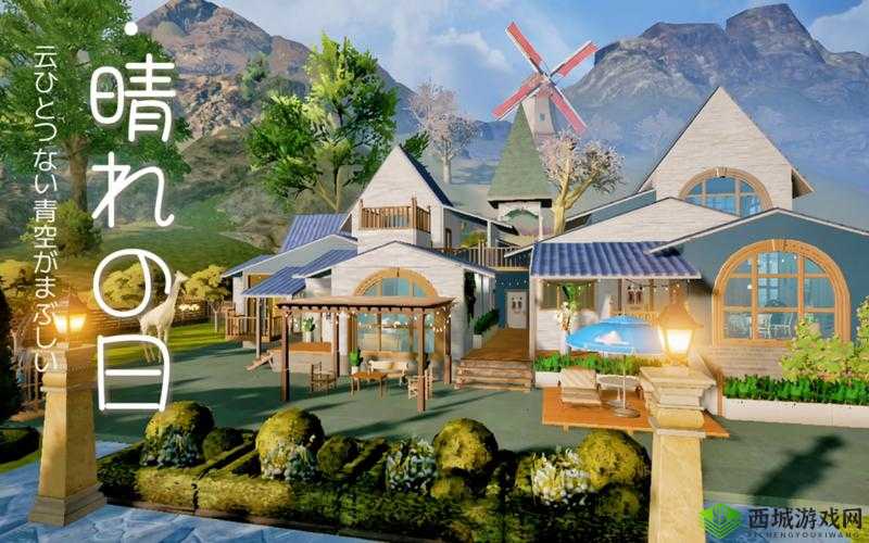 黎明觉醒，探索野外生态，邂逅小猫咪的温馨瞬间