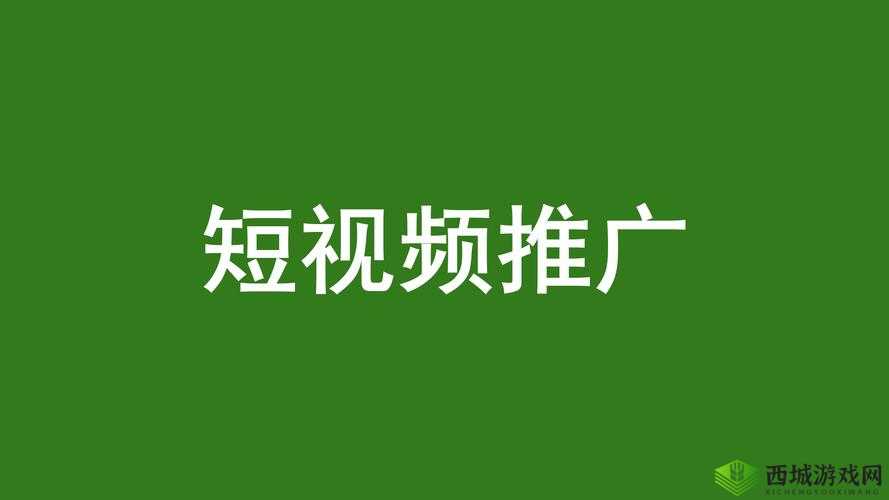 国外 B 站推广网站:带你领略全球精彩视频