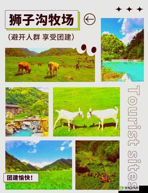 Zoom 美国另牧场:探寻别样牧场风情与奥秘