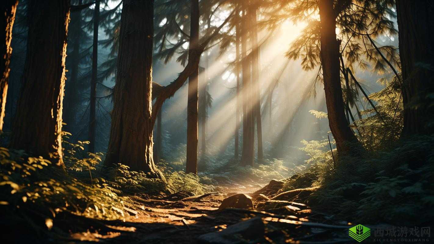 一级黄色影院:带你领略独特的视觉盛宴