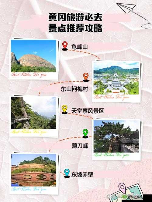 美国第一黄冈网:探索其独特魅力与无限可能