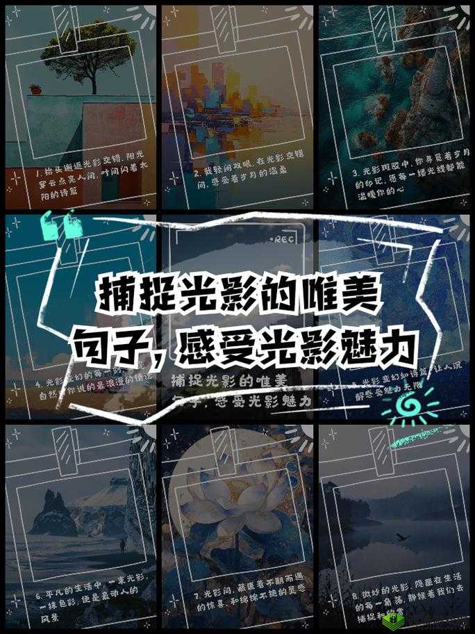 探秘小森生活中的透明摄影师，捕捉光影的梦幻之旅