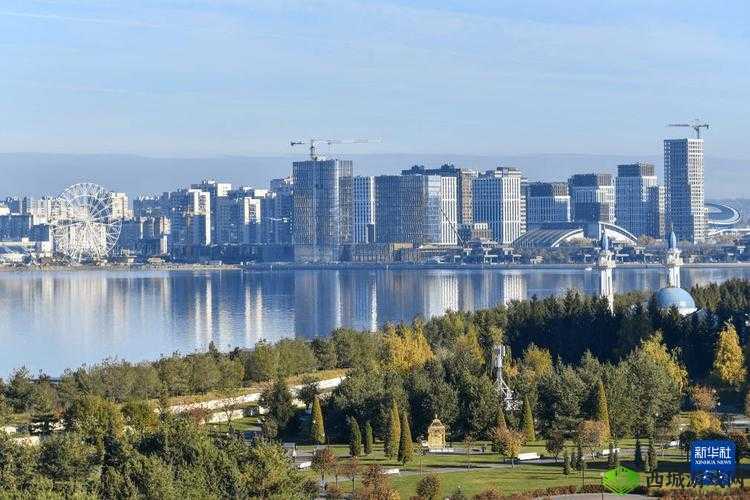 俄罗斯 videodese12 :带你领略独特的视频魅力世界