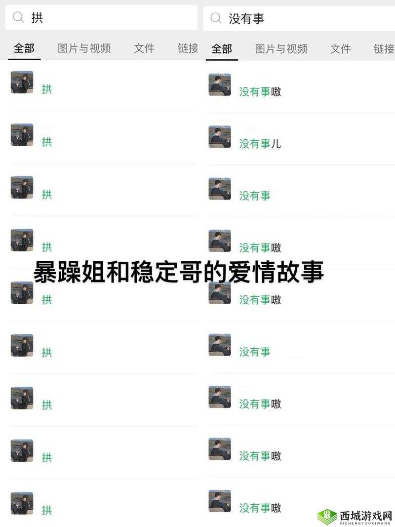 b 站暴躁姐:揭秘其丈夫的神秘身份