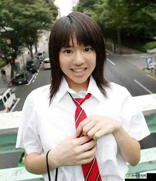 wwwxxx日本:关于其详细介绍与全面解读