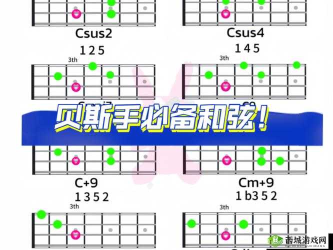 BBOX 入门 Bass 技巧全解:从基础到进阶的探索之路