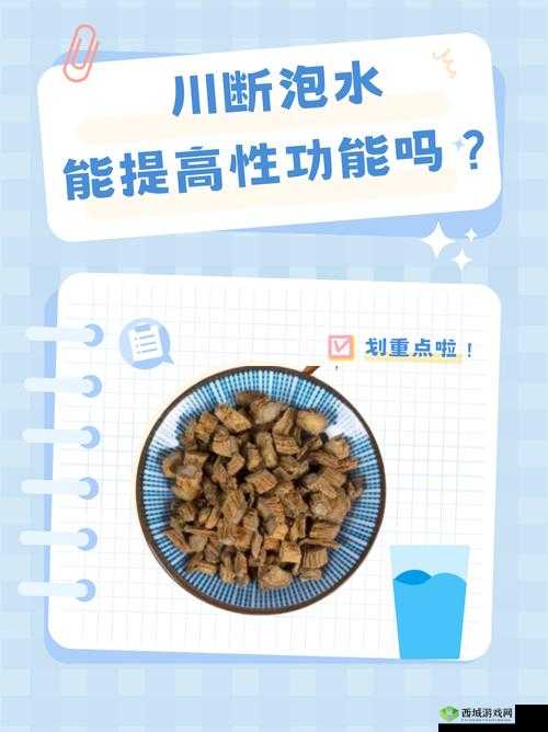 川断泡水能提高性功能吗:其功效与作用究竟如何
