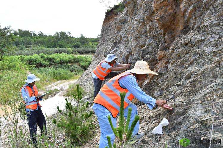 大地资源网第三页:关于大地资源网第三页的详细介绍与分析