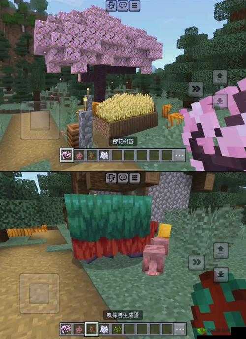 无尽的诱惑:探索成人世界的神秘领域