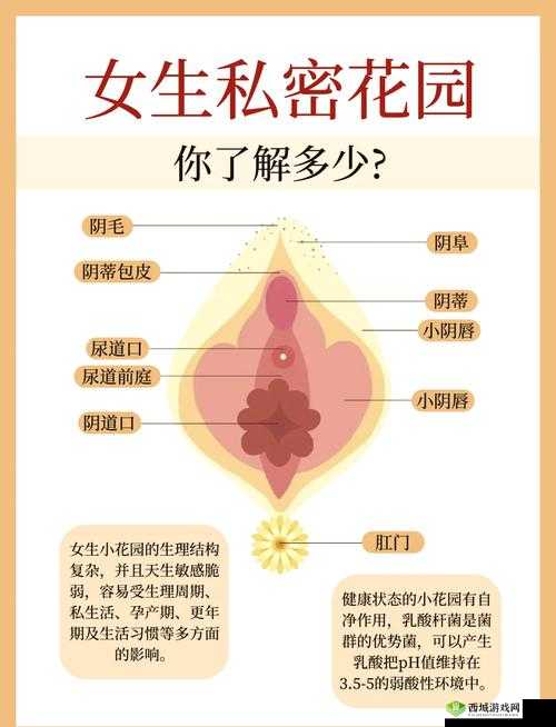 吃小花园的正确方法:你应该知道的常识