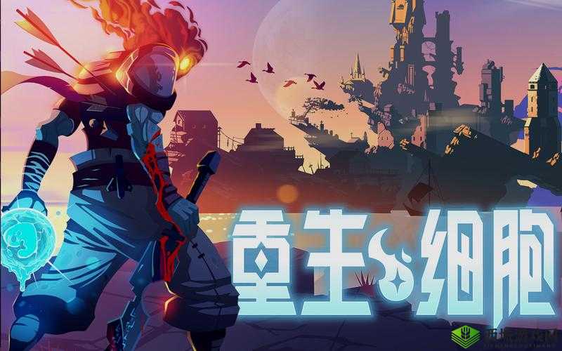 重生细胞传送系统作用分析