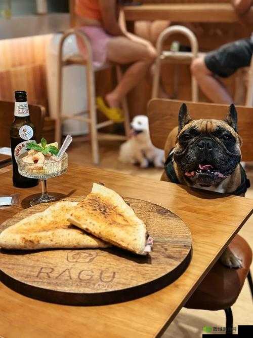 乖~你那独特的夹与拉丝的奇妙体验