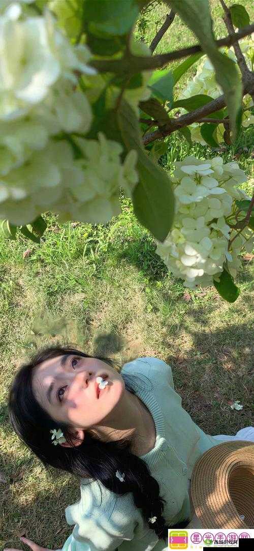 国产电影一曲二曲三曲:探寻国产影片背后的多元旋律