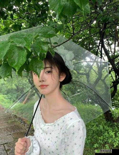 鞠婧祎免费造梦在线观看:一场梦幻之旅即将开启