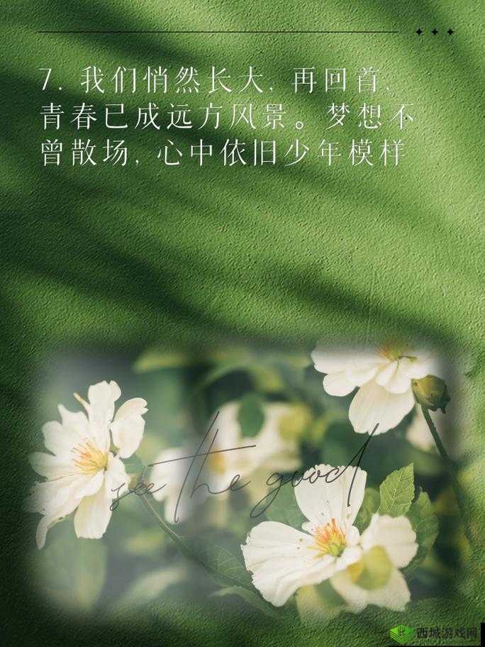 18-20 岁的 HD 第一次:懵懂青春的独特经历