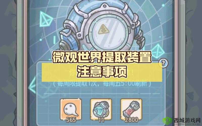 探秘最强蜗牛天鹅湖，一场微观世界的奇幻之旅