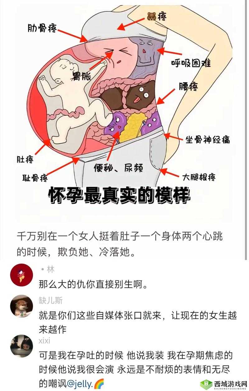 free 孕妇 video 毛茸茸:揭秘孕期女性身体的奇妙变化