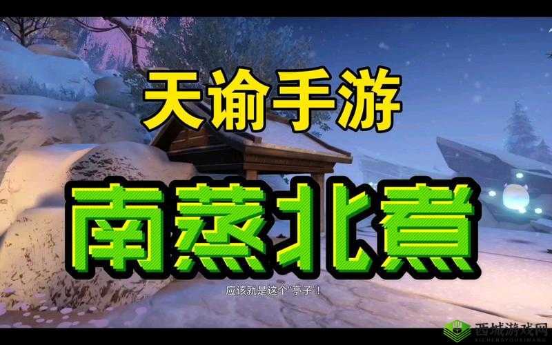 天谕南蒸北煮任务揭秘,刘兴农位置全攻略