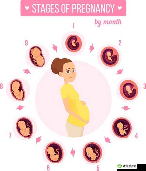 肥胖孕妇bbwbbwbbw:关于其孕期健康与生活的探讨