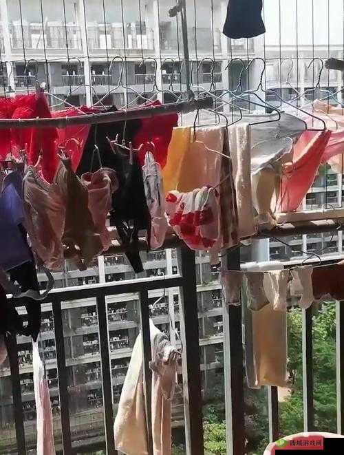 宿舍里被的最深的一天:那是一段令人难忘且感慨万千的时光