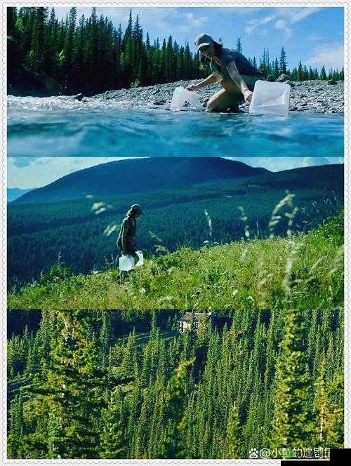 大地资源二中文在线观看官网:提供精彩影视内容的平台