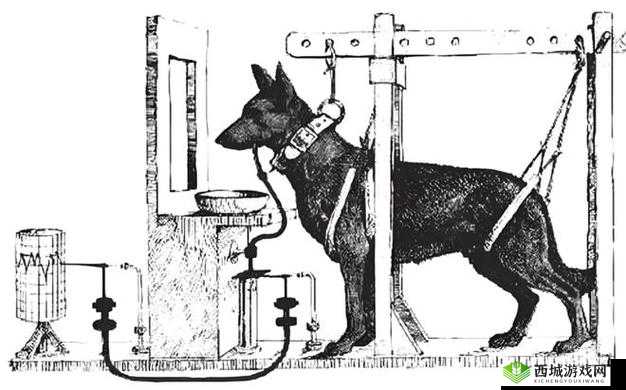 关于狗性行为的深入探讨与相关思考