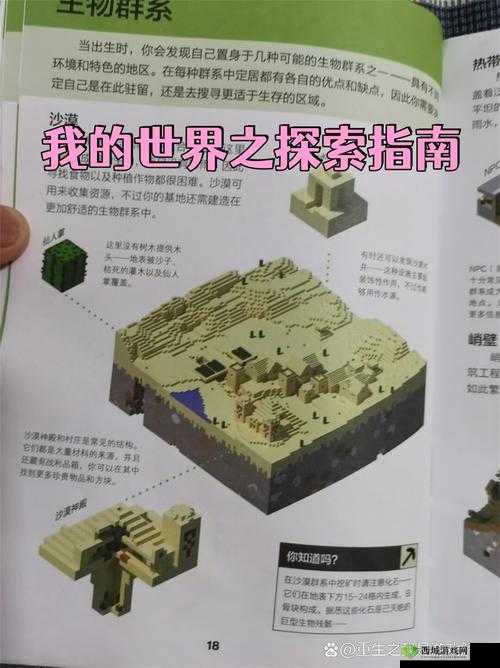 插我一区二区在线观看:探索未知的私密世界