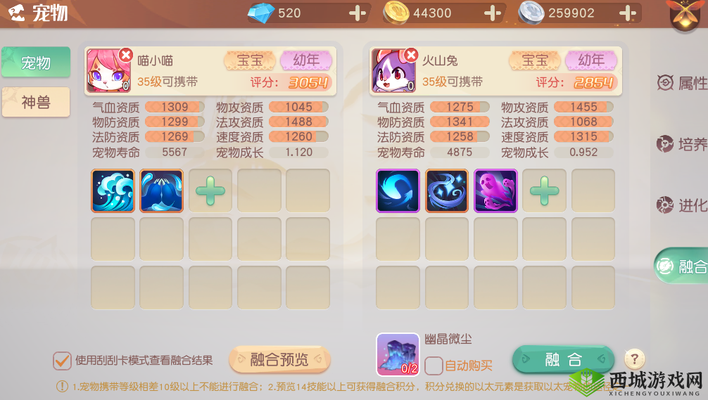 梦想新大陆以太宠物获得方式,资源管理的艺术