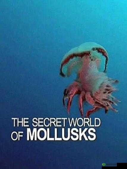 FrXXee 中国 XXee 麻豆片:探索未知的神秘世界