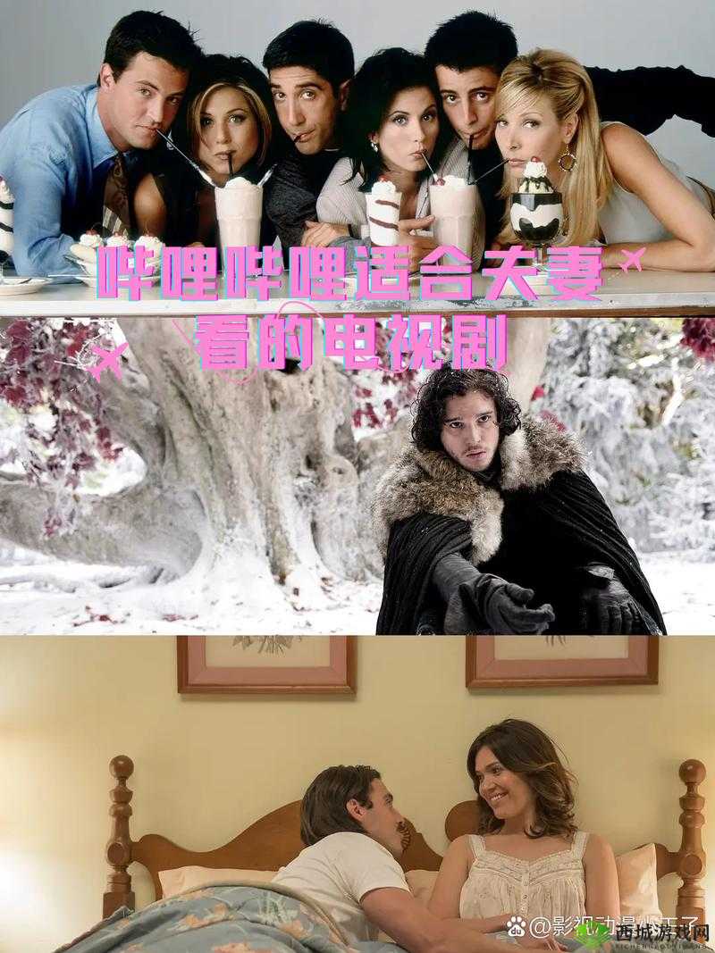 适合夫妻观看的哔哩哔哩电视剧：共同的欢乐时光