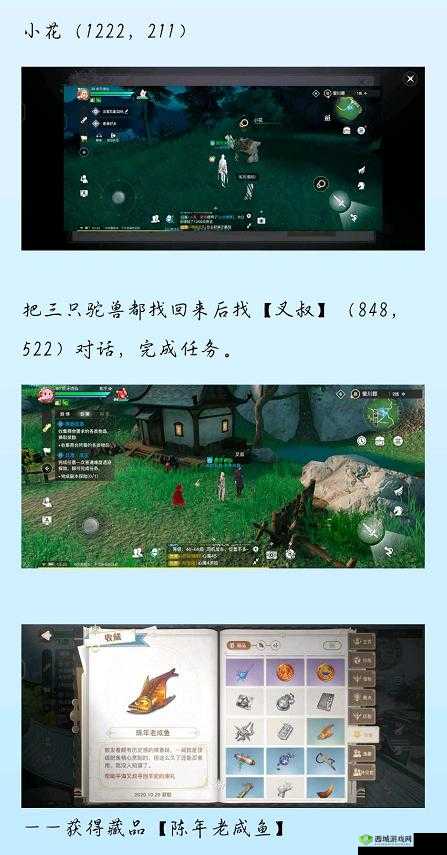 天谕手游狂暴驼兽冒险任务,驯服驼兽,赢取陈年老咸鱼