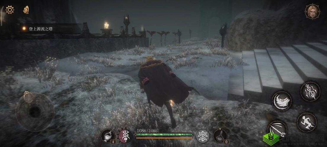 帕斯卡契约，揭秘支配者结晶的奇妙之旅