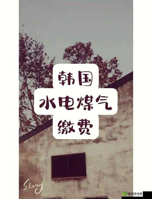 韩国三色电费:深度解析其计费机制与对居民生活的影响