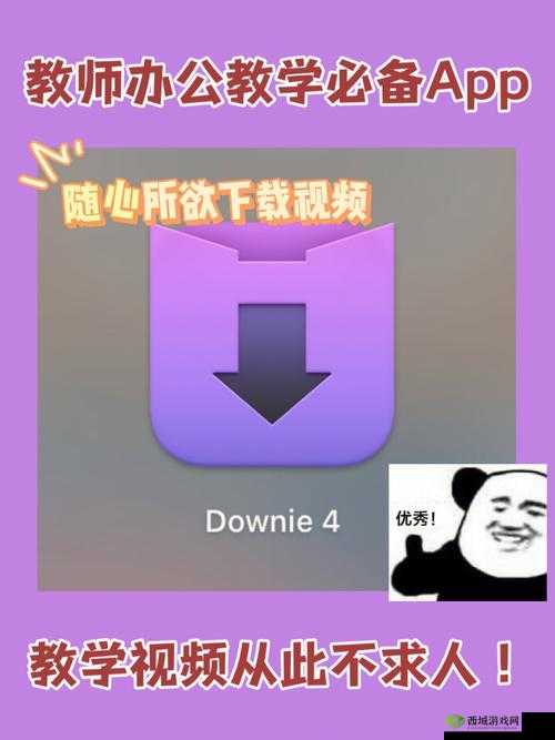 成品短视频 APP 下载选择:优质应用随心享