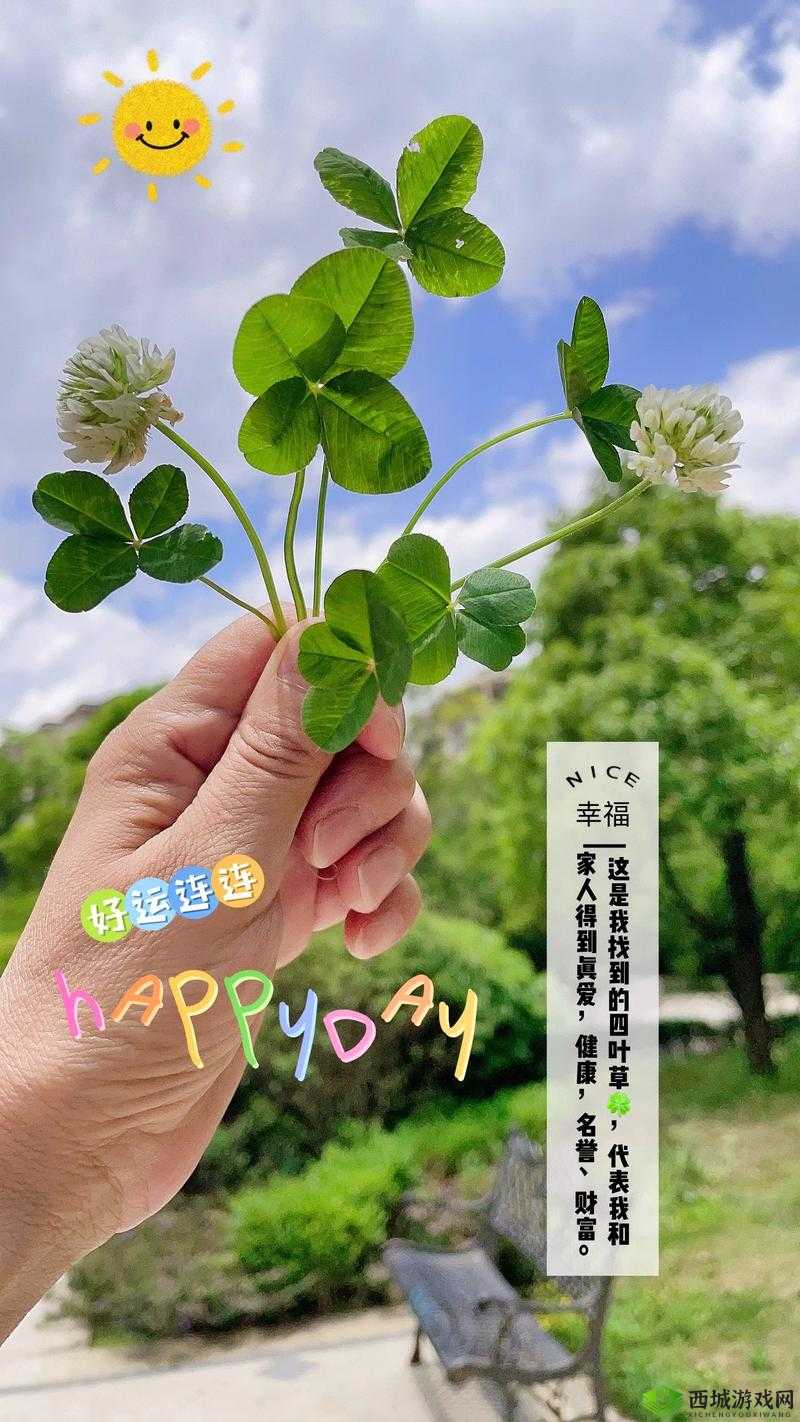 成品人与精品人的区别:四叶草迎来倒数计时