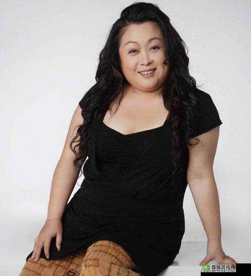 国产老熟妇乱 XXXXX 小仙踪林:独特的情感纠葛与故事演绎