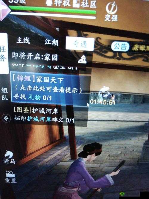 天涯明月刀锦鲤任务杨子麟攻略流程介绍