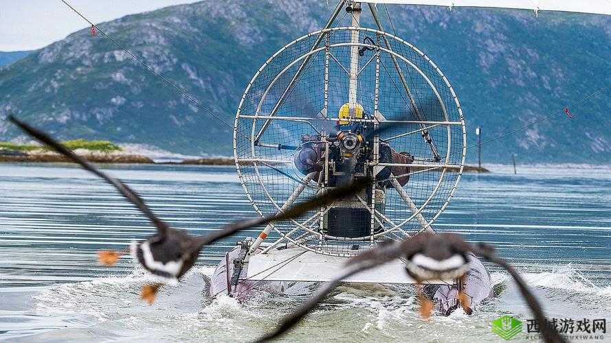 厨房里两只奶头被吸肿了:未公开的家庭故事