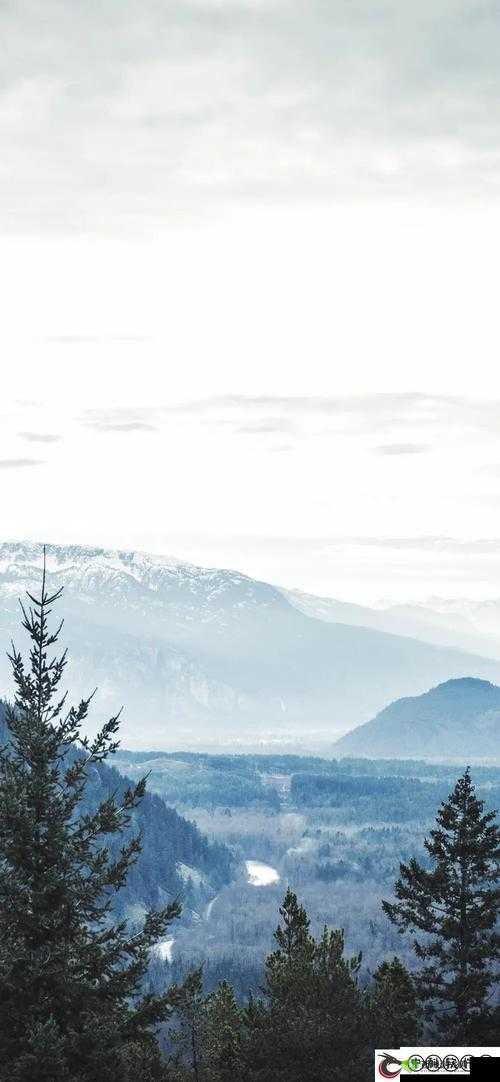 宿舍 H3C 陆岩陈述:关于宿舍生活的详细经历与感悟