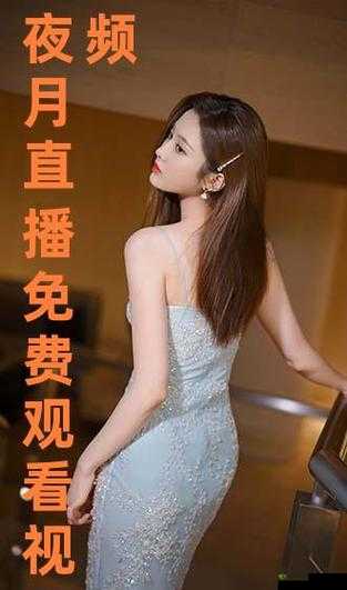 月夜直播:颠覆传统,带来全新视觉盛宴