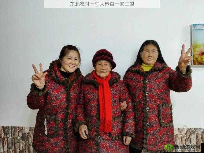 一杆大枪草一家三娘是什么意思:探究其背后的隐秘含义