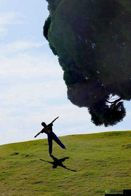 rf14-35f4 成片:展现令人惊叹的视觉盛宴之旅