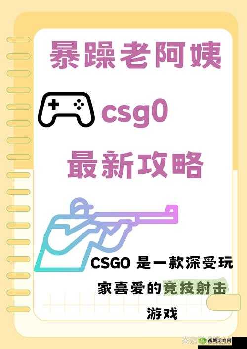 双人暴躁老阿姨 CSGO:激情对战展现非凡游戏实力