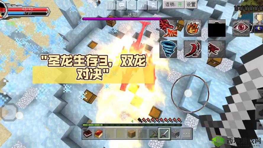 双龙 1v2:精彩对决背后的神秘力量与未知挑战