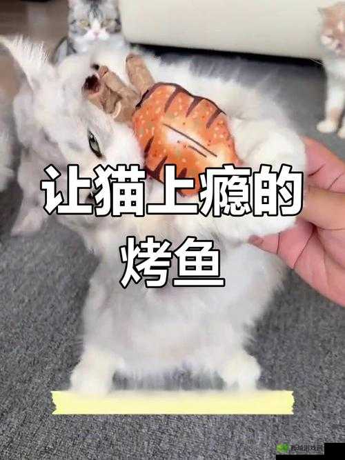 就喜欢听你叫 1V1 烤鱼猫:这真是一个特别的称呼呀