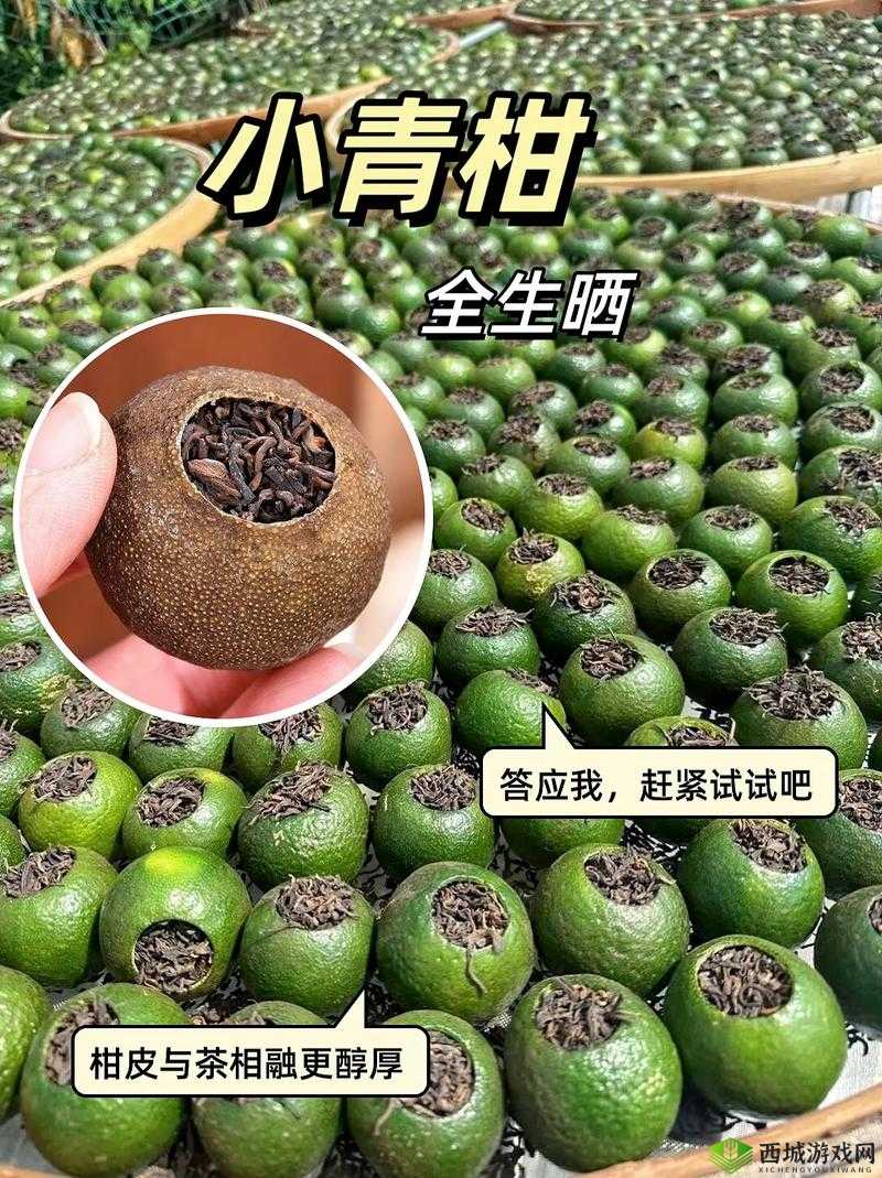 小青柑一线产区和二线产区的区别:深入探究品质与特色差异