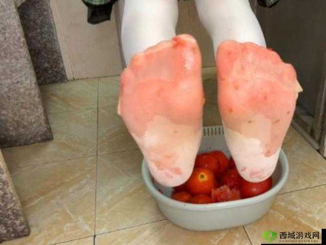 白丝榨汁姬的美妙榨汁时光:探索榨汁姬的奥秘