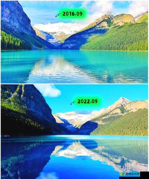 WWWWXXXX:带你探索未知领域的奇妙之旅