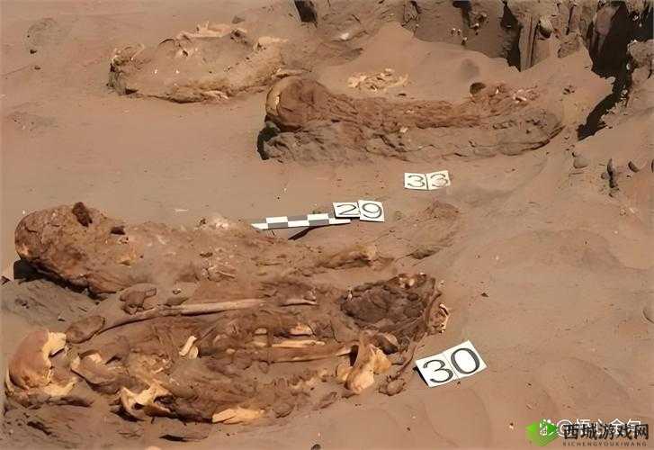 万灵启源,探索鸵鸟新皮肤背后的神秘木乃伊传说