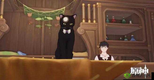 探秘原神,小王子黑猫的奇妙之旅